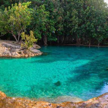 emerald-pool-krabi-crystal-pool
