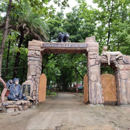 Ratanmahal Wildlife Day Tour from Dahod